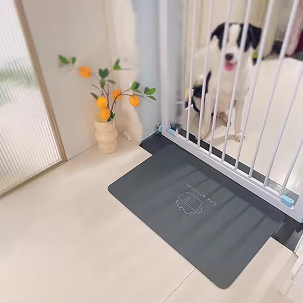 Antislip badkamerdeurmat, diat - Home One Bathroom recensie en prijs