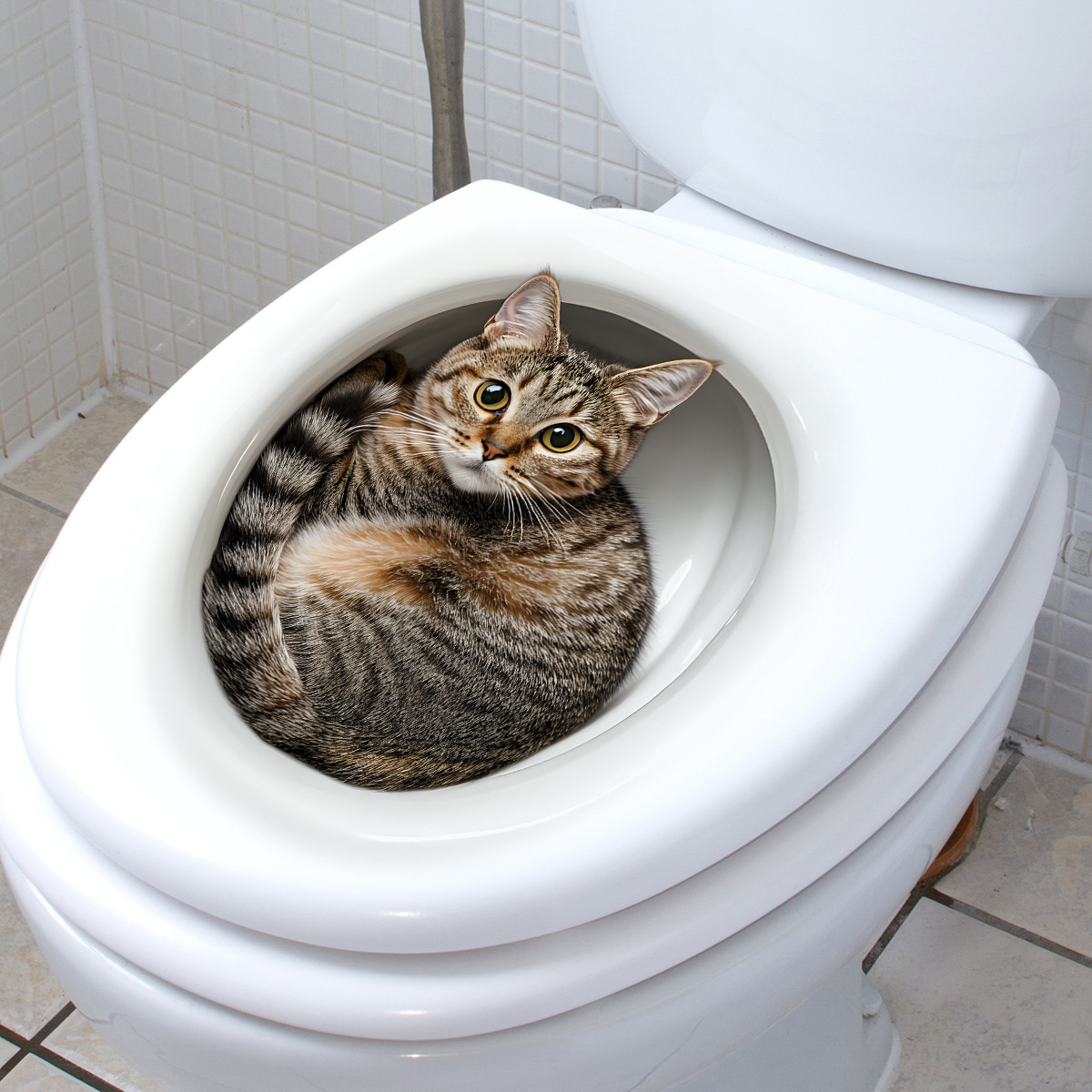 3D Grappige Kat Wc Sticker Bad - Tiny Home Bathroom Kit recensie en prijs